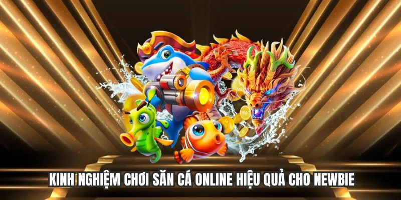 Kinh nghiệm chơi săn cá online hiệu quả