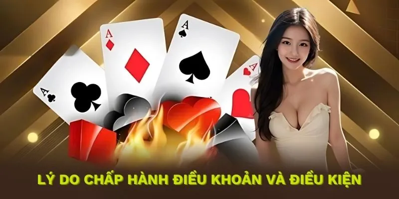 Những lý do quan trọng cần tuân thủ điều khoản điều kiện