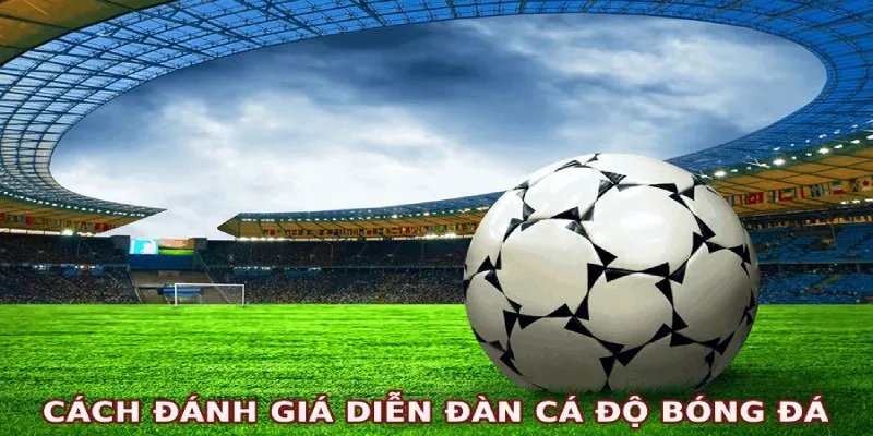 Cách đánh giá forum cá độ bóng đá chất lượng