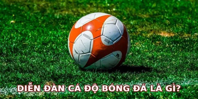Diễn đàn cá độ bóng đá là điểm đến hữu ích của bet thủ