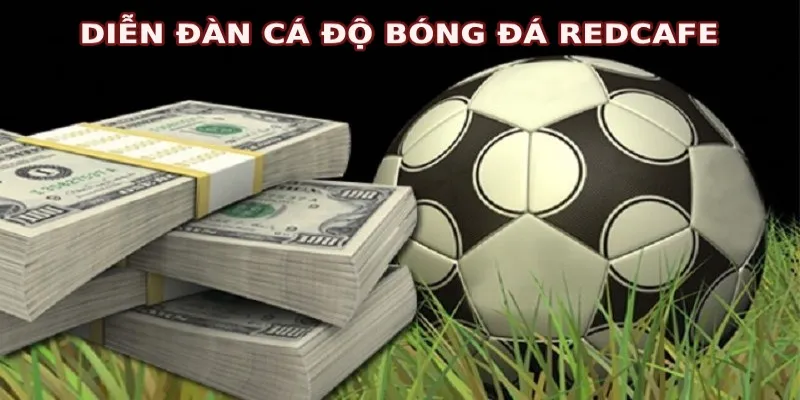 Forum cá độ bóng đá chất lượng quốc tế Redcafe