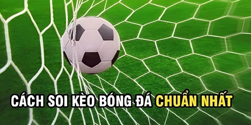 Soi kèo cá độ ngay khi nhà cái ra kèo