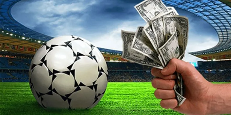 Tham gia các diễn đàn chuyên cá độ để học hỏi soi kèo